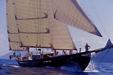 Classic Yacht BLACK SWAN